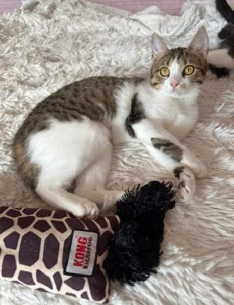 Lexi Quasselstrippe sucht ihre Familie