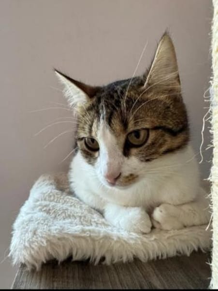 Lexi Quasselstrippe sucht ihre Familie