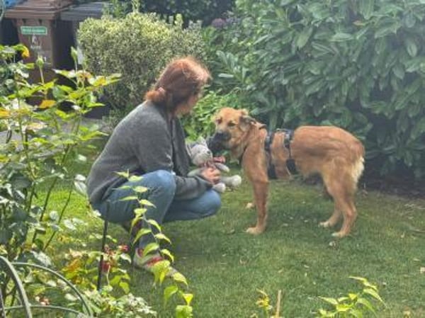 Sissy, verschmust und wundervoll