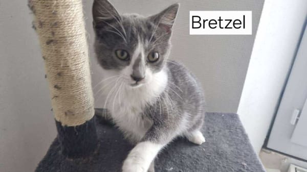 BRETZEL