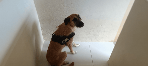 BAYKO