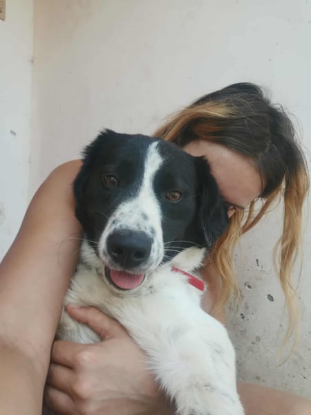 Minnie