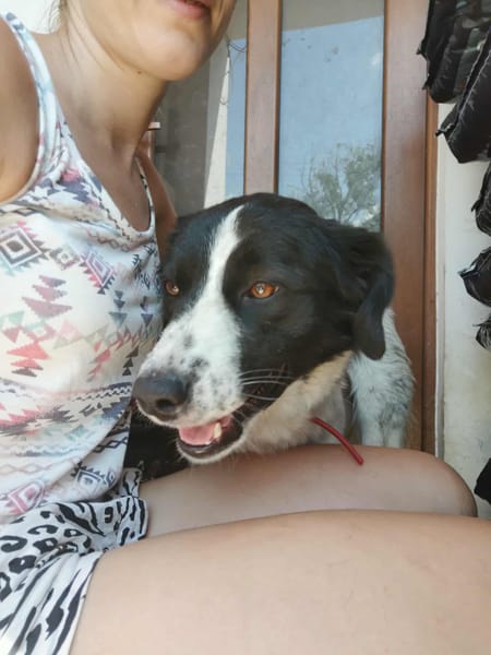 Minnie