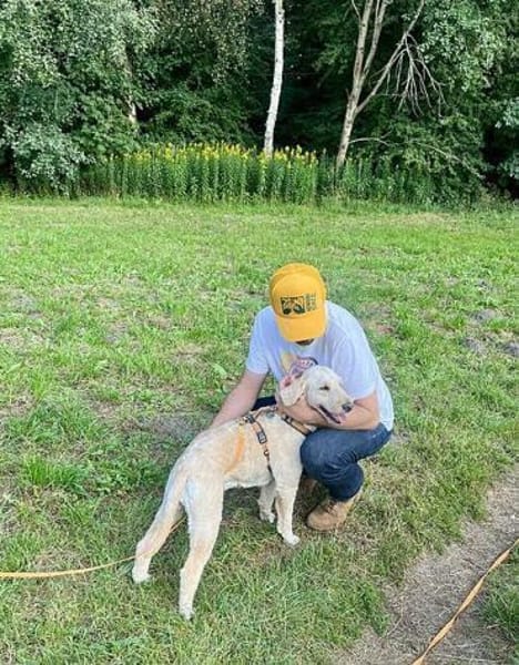 Gina-Golden Doodle will ein neues Leben