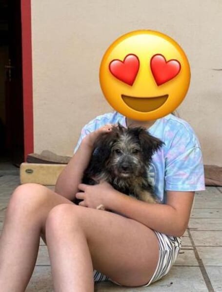 OSMO * kleiner Hund & großes Herz
