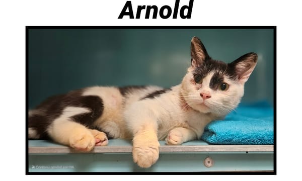 ARNOLD