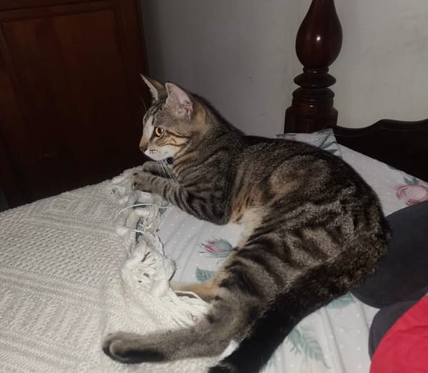 ACHILLE