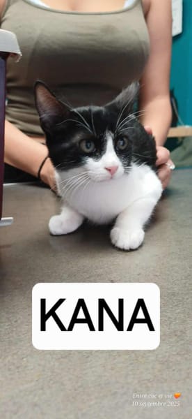 Kana