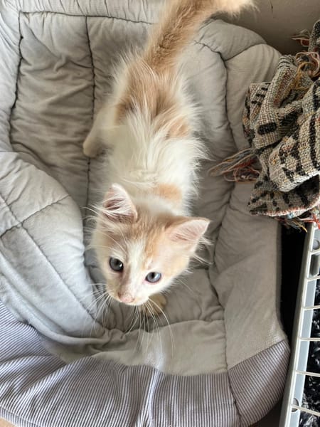 WINNIE