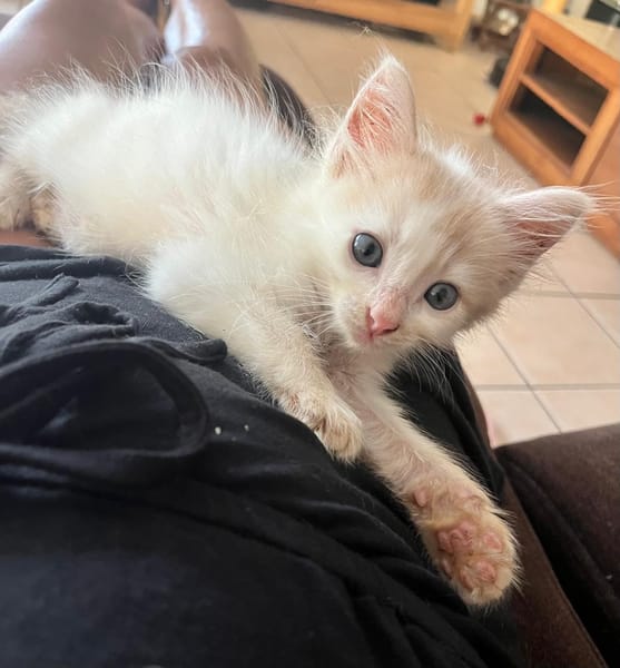 WINNIE