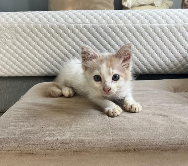 WINNIE