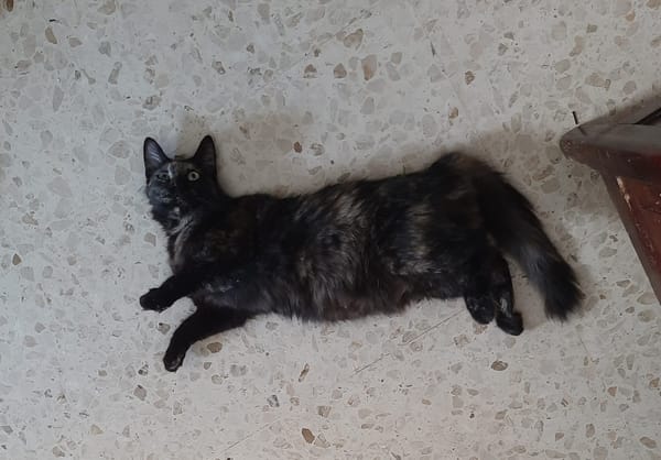 Sabrina