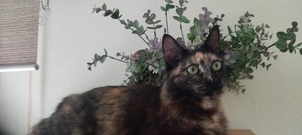 Sabrina