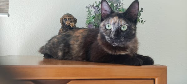 Sabrina