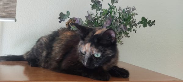 Sabrina