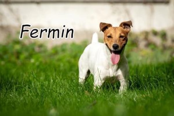 Fermin hat großes vor💖