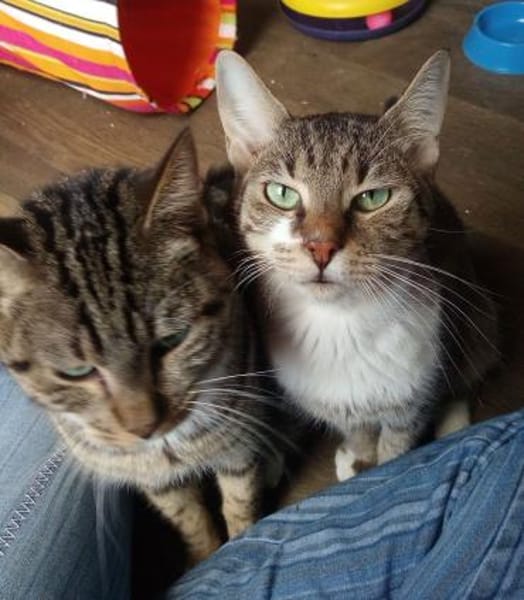 Rick und Ole