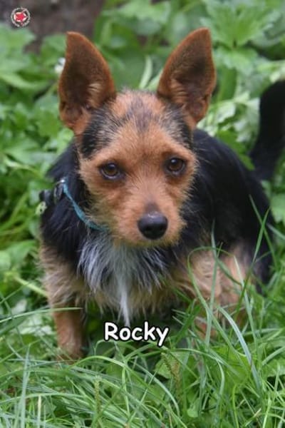 ROCKY