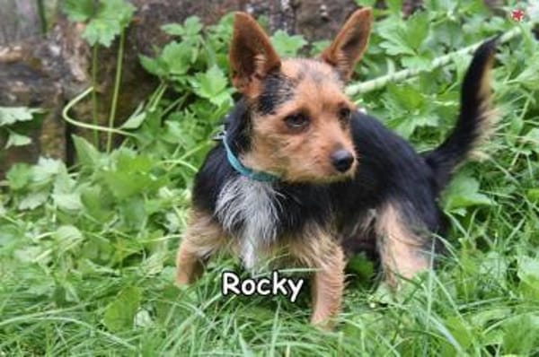 ROCKY
