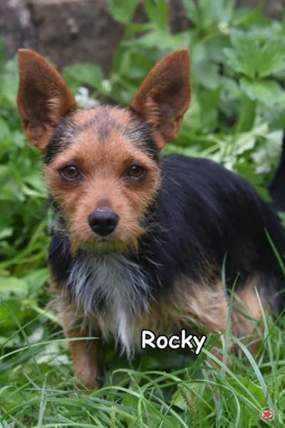 ROCKY