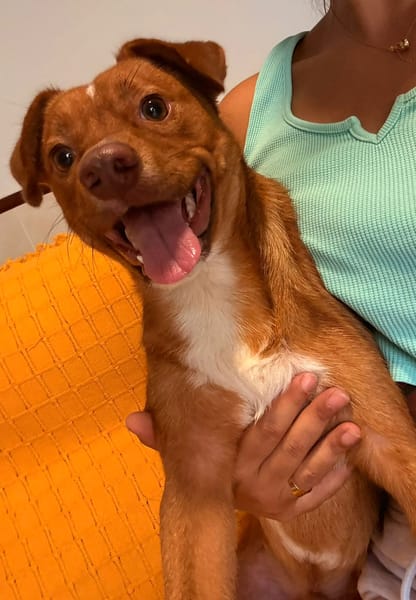MAX (101 huellas)