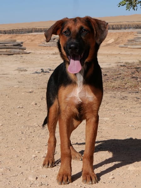 WILSON (Maria)
