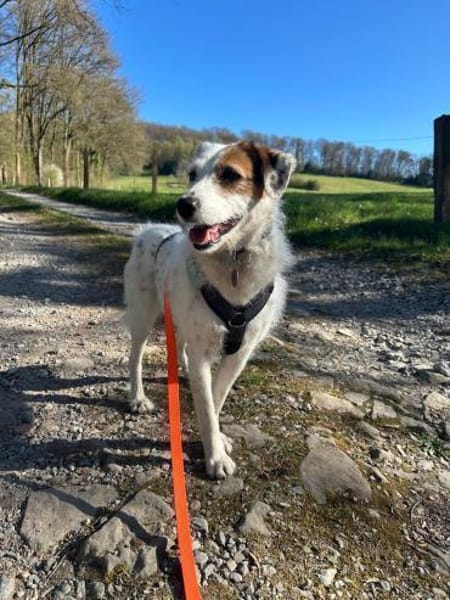 Lola ist wieder auf der Suche