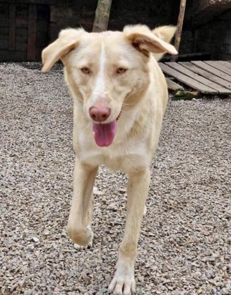‼ CREAM in 41236 Mönchengladbach🆘🆘