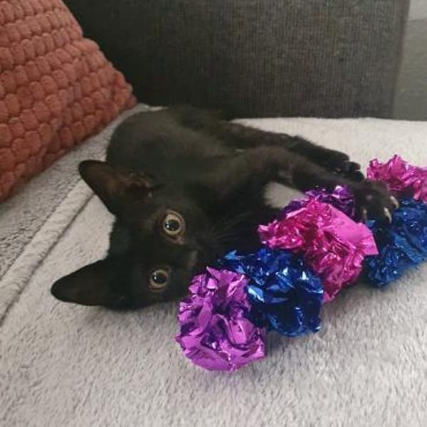 Käthe sucht DICH