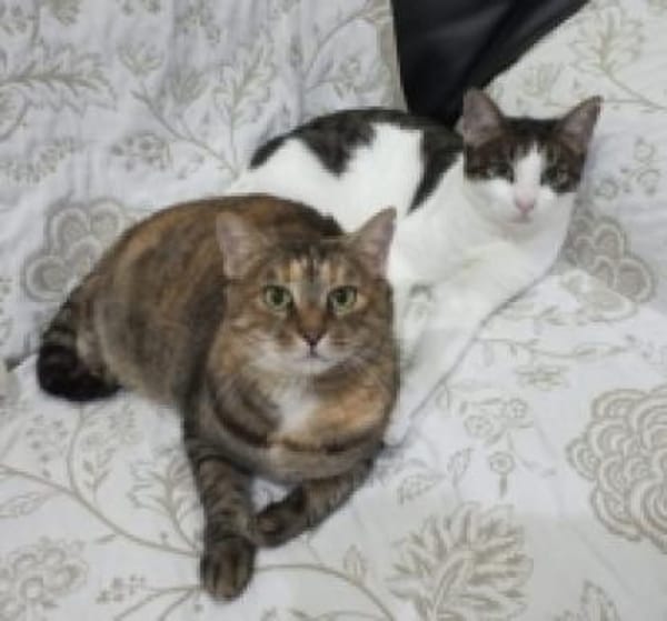 Maroneta und Blanquita
