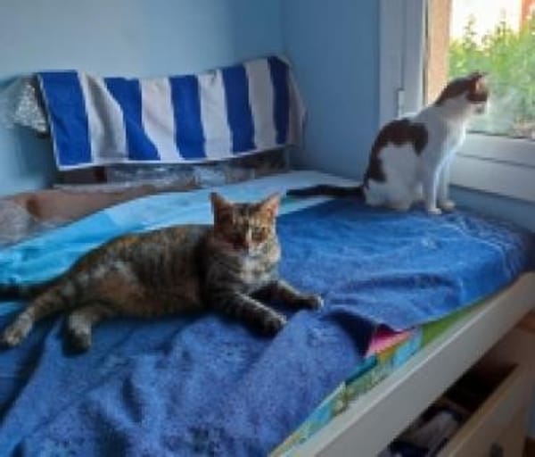 Maroneta und Blanquita