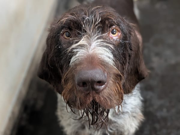 SAM