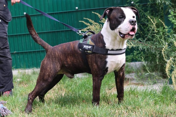 BUTLER dit CHARLIE