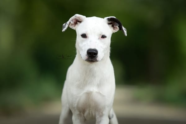 Penny (réservée)