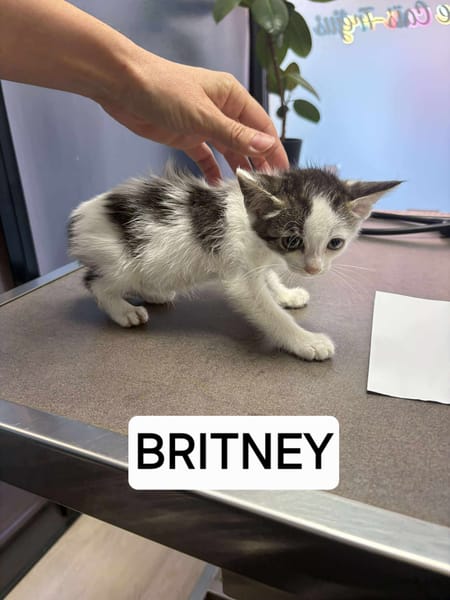 Britney