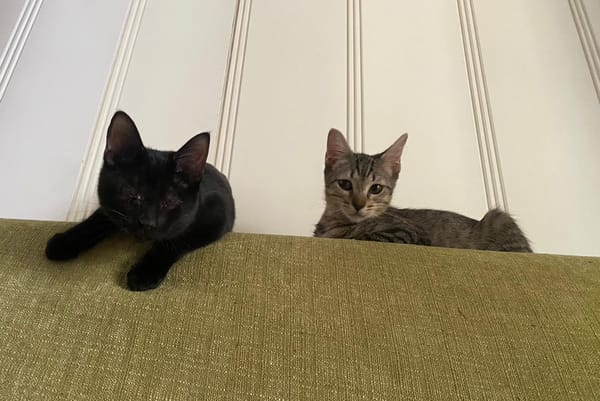 Aura et Maya