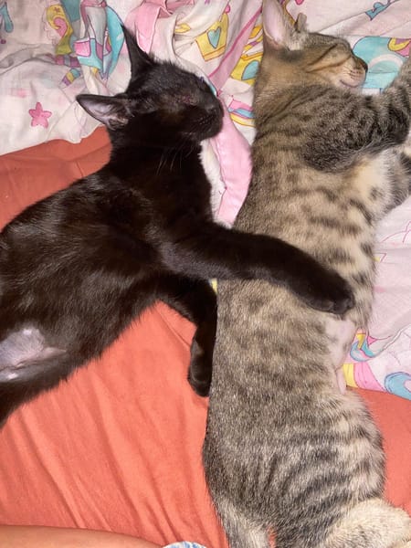 Aura et Maya