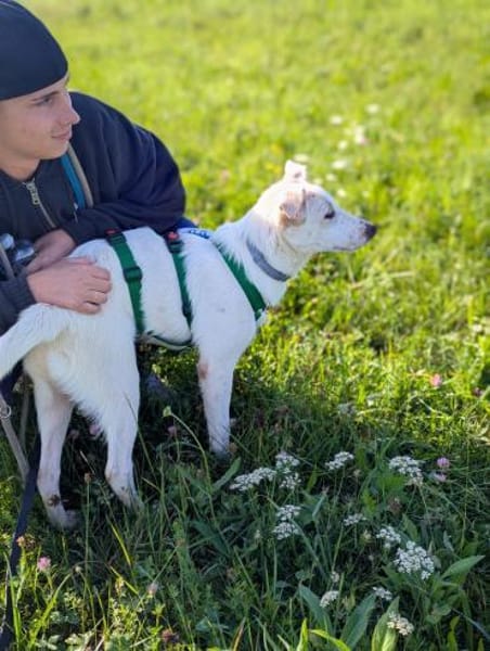 Molly sucht ihre Menschen