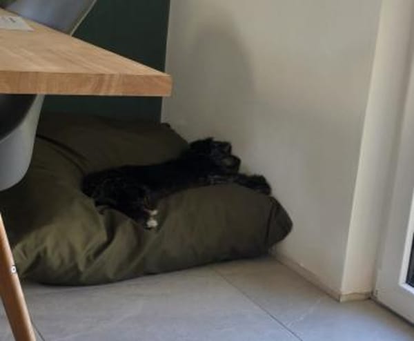 Sonia sucht ein Sofa mit Ausblick