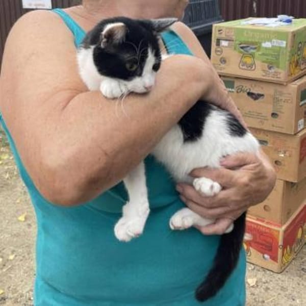 Charlie sucht ein schönes Zuhause