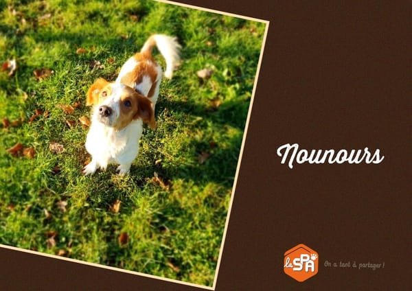 NOUNOURS (Réservée)