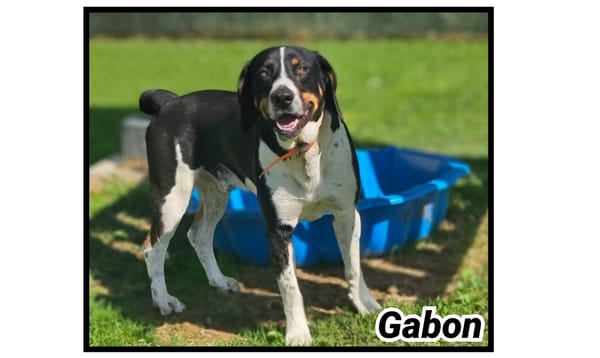 GABON
