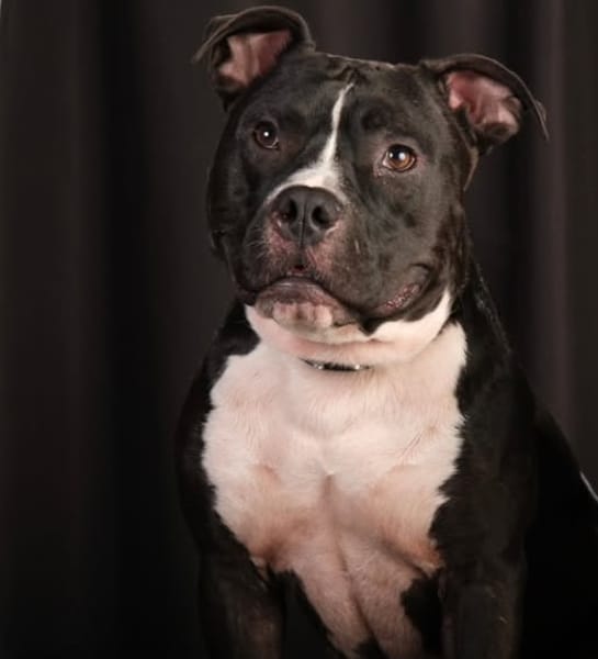 TITO