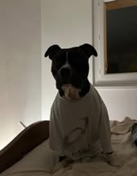TITO