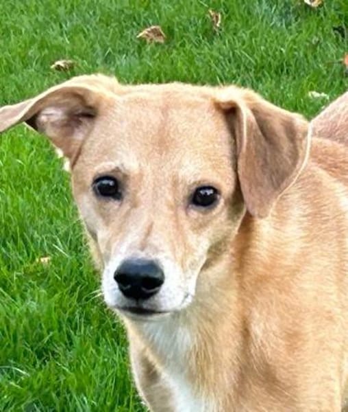 Carlos, unser Blondie
