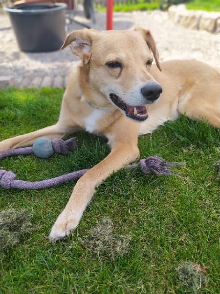 Carlos, unser Blondie