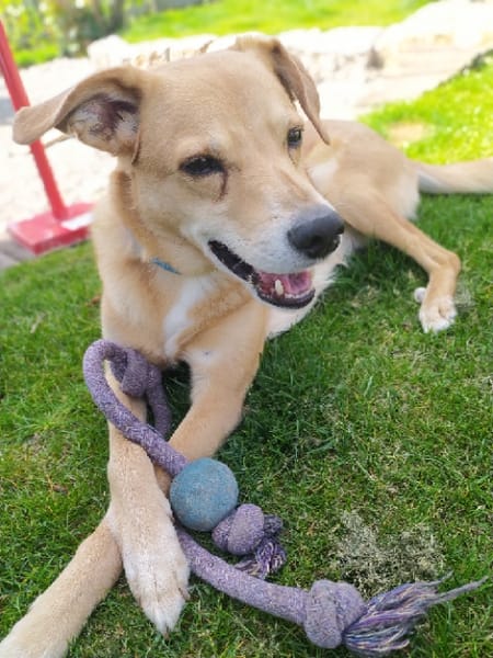 Carlos, unser Blondie