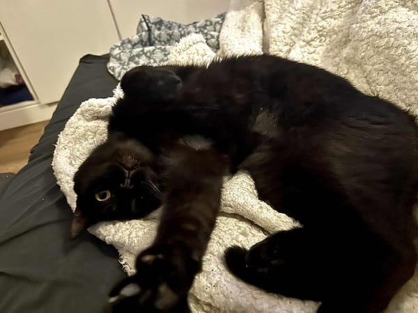 Bagheera