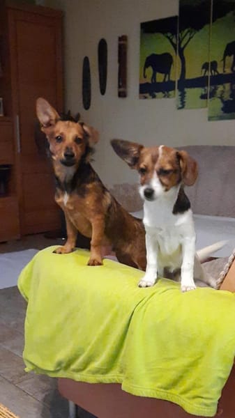 ✨ Clein  kleiner Schatz sucht