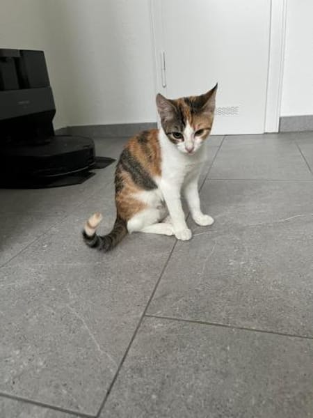 Matilda auf Pflegestelle in Duisburg